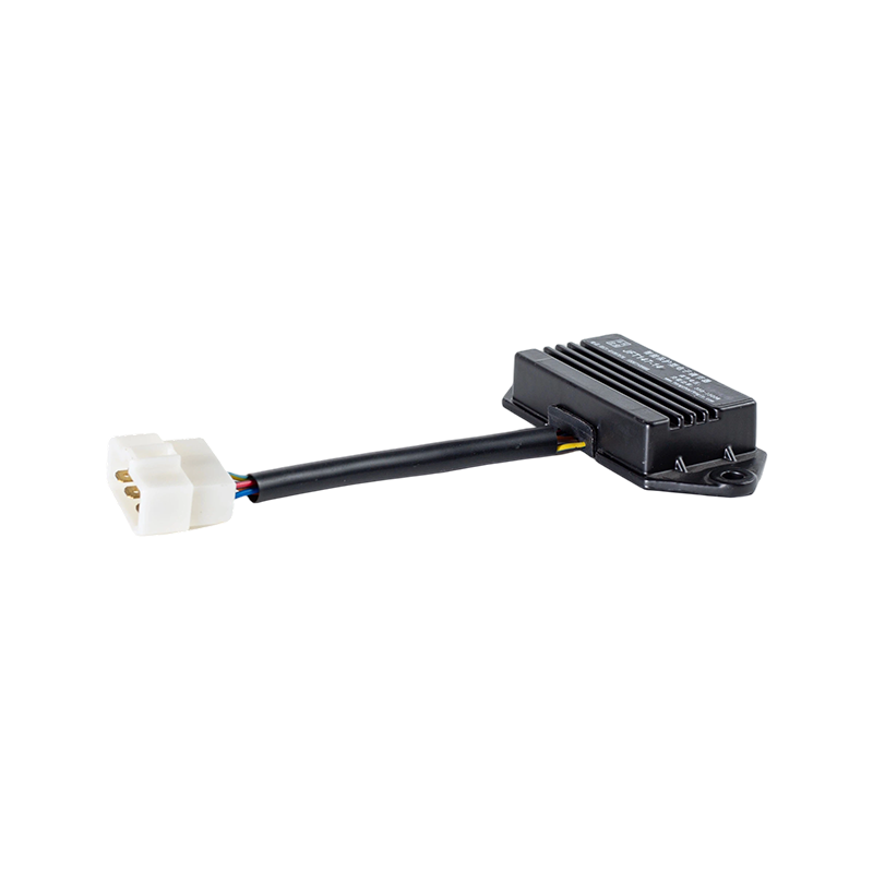 IP65 DC24V Weitspannungs-Überspannungs-Überstrom-Industrie-Gabelstapler-Ladesystem Elektronischer Regler