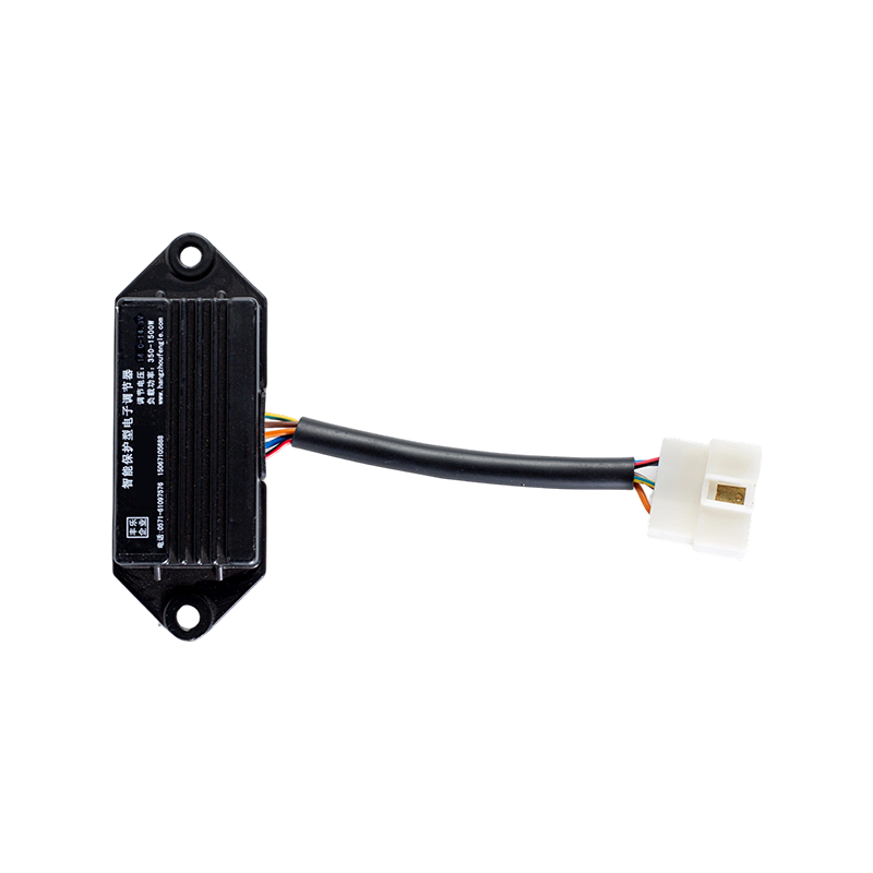 IP65 DC24V Weitspannungs-Überspannungs-Überstrom-Industrie-Gabelstapler-Ladesystem Elektronischer Regler